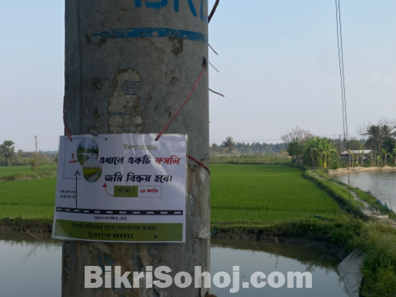 ফসলি জমি ধান মাছ চাষ করা হয়।